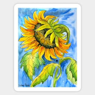 Son of the Sun Watercolor Painting Sticker